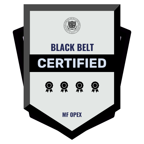 Lean Six Sigma Certified Black Belt